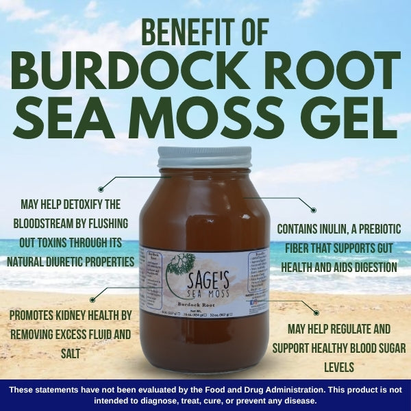 Burdock Root Sea Moss Gel
