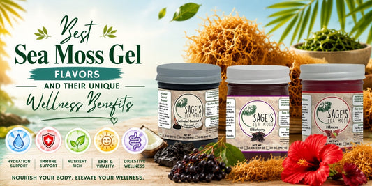 Best Sea Moss Gel Flavors and Their Unique Wellness Benefits