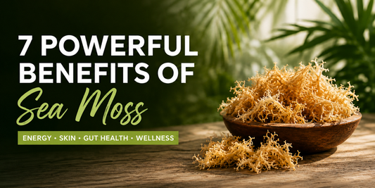 7 Powerful Benefits of Sea Moss Gel for Energy, Skin & Gut Health