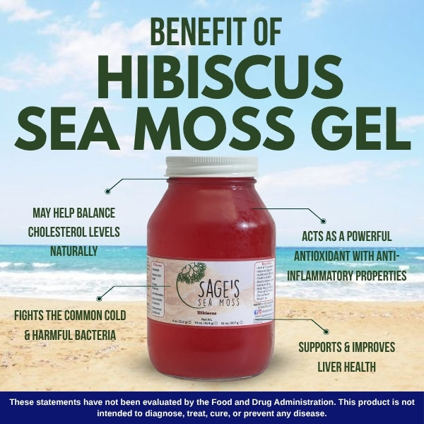 Hibiscus Sea Moss Gel