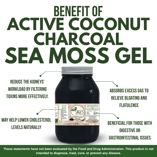 Activated Coconut Charcoal Sea Moss Gel