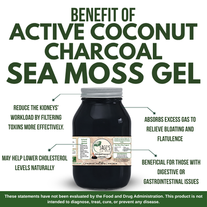 Activated Coconut Charcoal Sea Moss Gel
