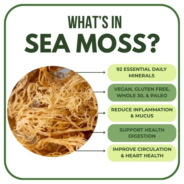 Original Sea Moss Gel