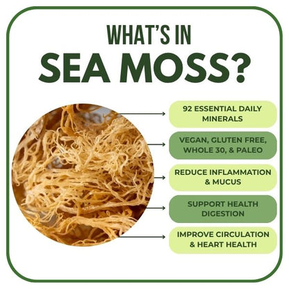 Original Sea Moss Gel