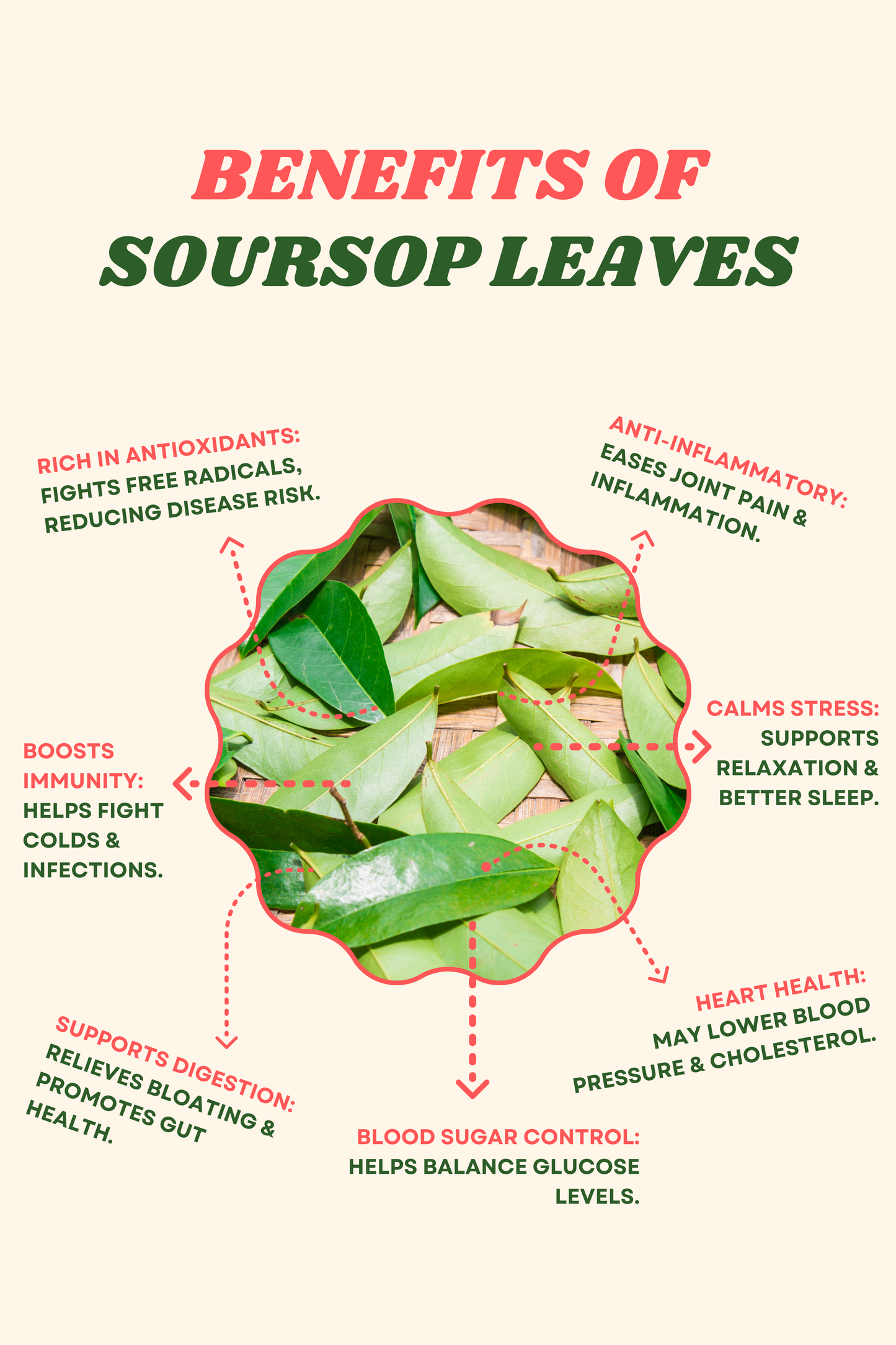 Soursop Leaves